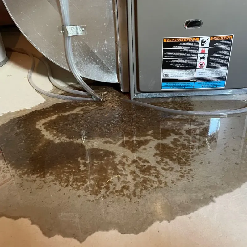 Pipe Burst and Leak Restoration in Orwigsburg, PA