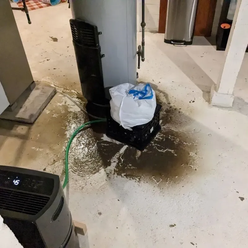Sewage Backup Cleanup Service in Orwigsburg, PA